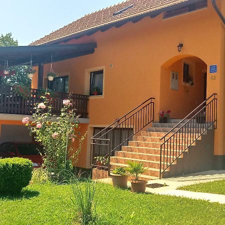 Apartment Petrovic Szluin Kültér fotó
