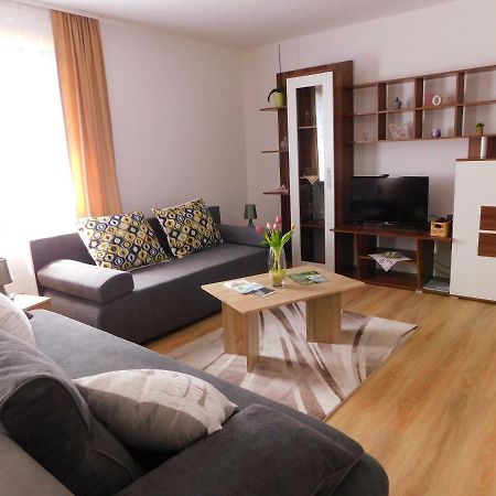 Apartment Petrovic Szluin Kültér fotó