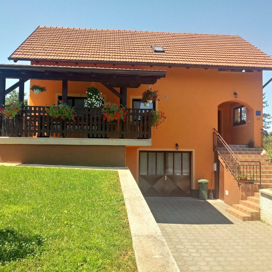 Apartment Petrovic Szluin Kültér fotó