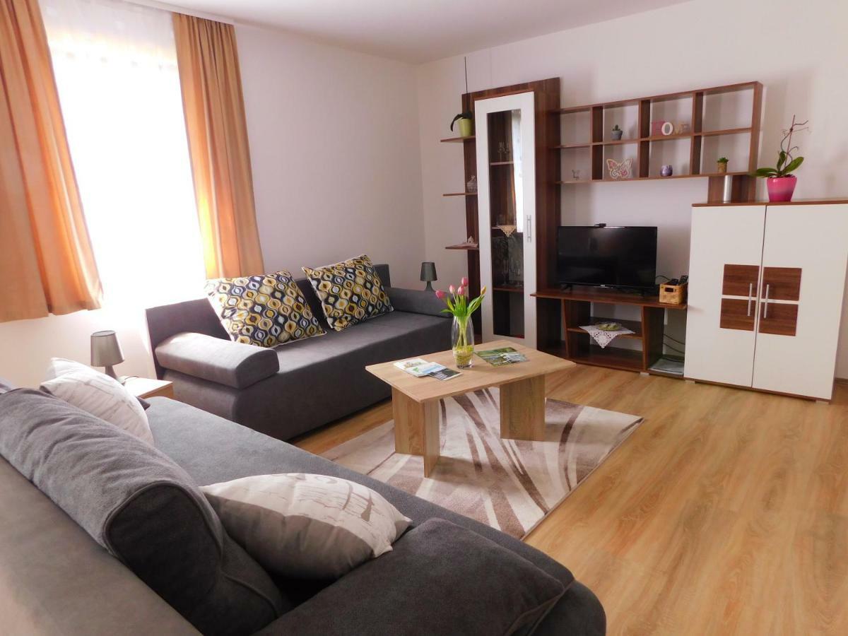Apartment Petrovic Szluin Kültér fotó