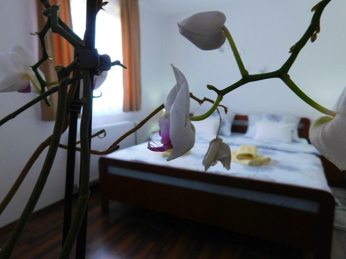 Apartment Petrovic Szluin Kültér fotó